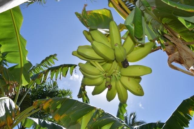 Pousada Malea Icaraí Exteriér fotografie